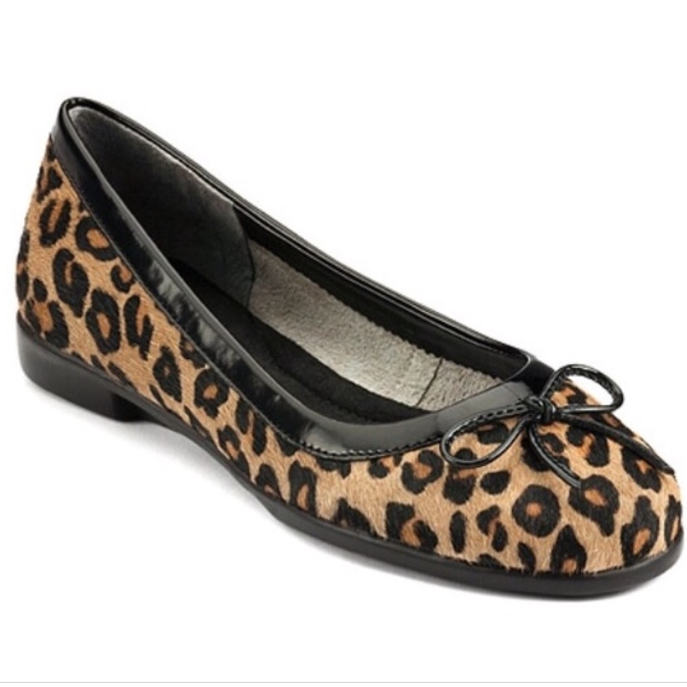Leopard Print Ballet Flat - Black Trim